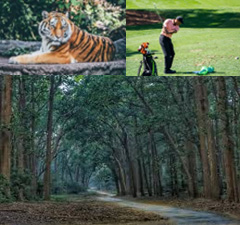 Golf, Sports, Wildlife, Hiking and Travel